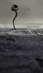 Liminal Introspect by Mircea Purdea - CINEPUB