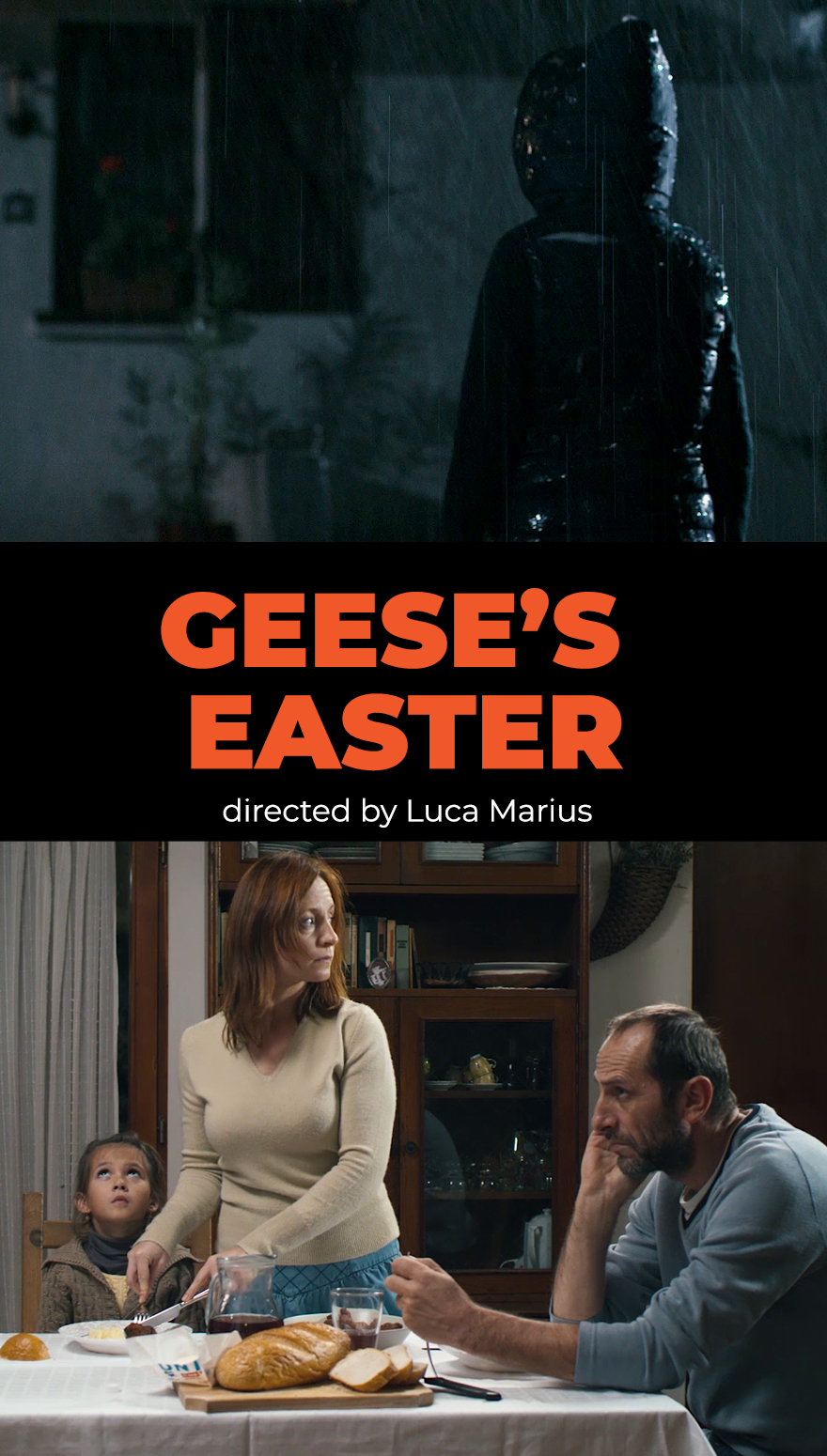 Geese’s Easter - shortfilm made by Luca Marius - online on CINEPUB
