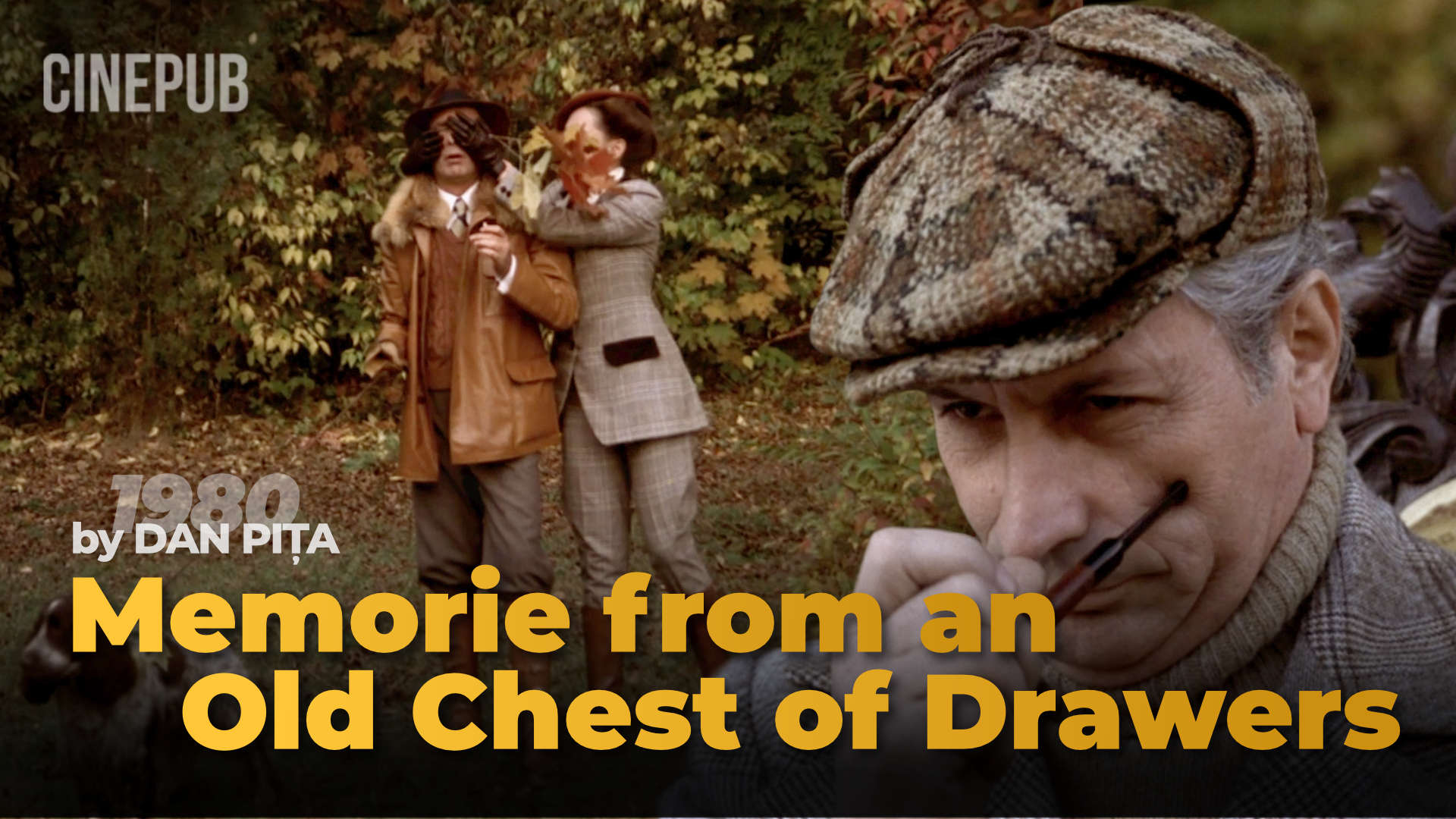 Memories from an Old Chest of Drawers (1980) de Dan Pita - drama film online on CINEPUB Memories from an Old Chest of Drawers (1980) de Dan Pita - drama film online on CINEPUB