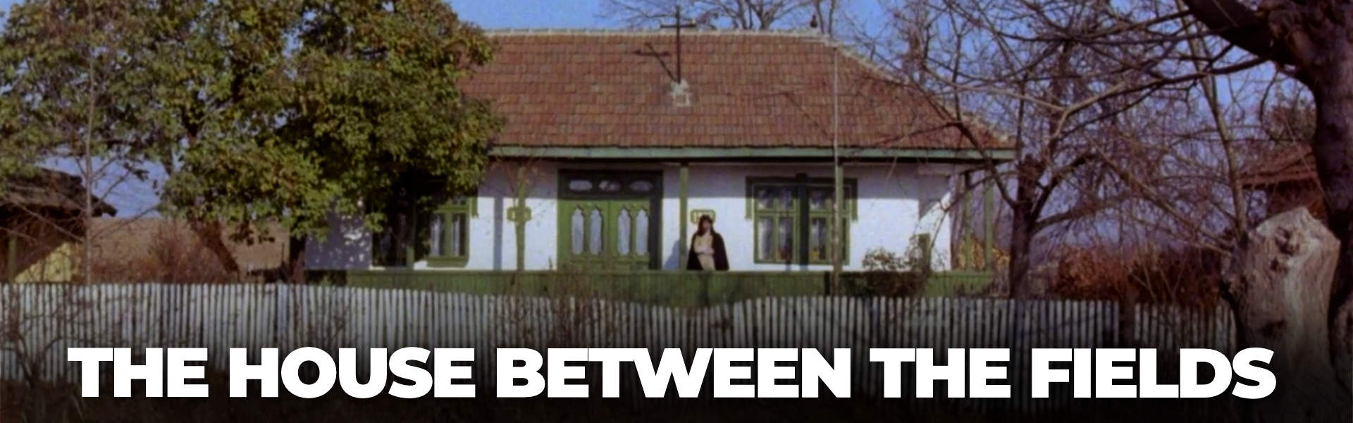 The House Between the Fields (1980) by Alexandru Tatos - drama film online on CINEPUB The House Between the Fields (1980) by Alexandru Tatos - drama film online on CINEPUB